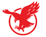 安丘市雄鹰纤维素有限责任公司 logo